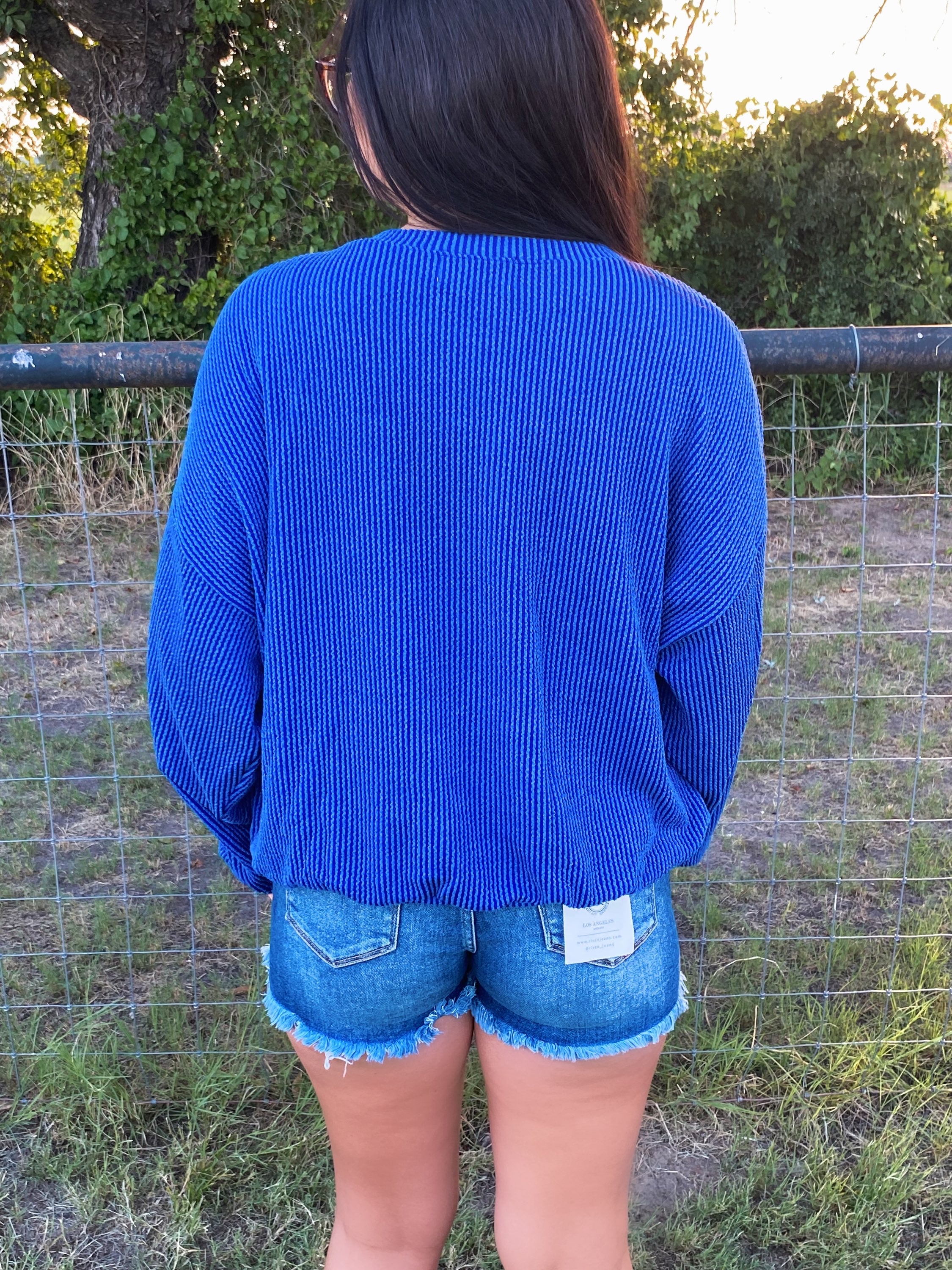 Blue Ribbed Texas Sweater image 2