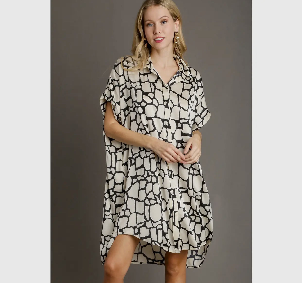 Sutton Button Up Dress image 2