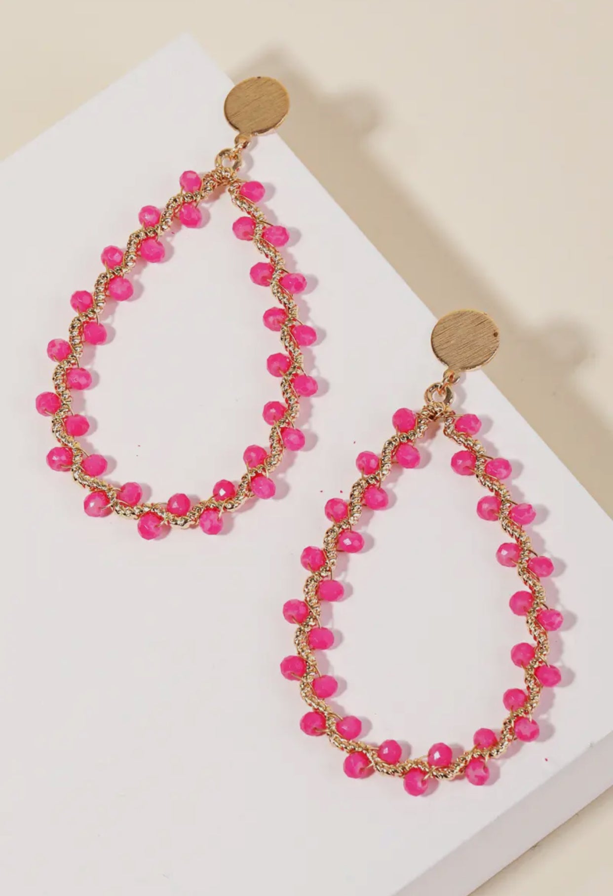 Love it or leave it Earrings