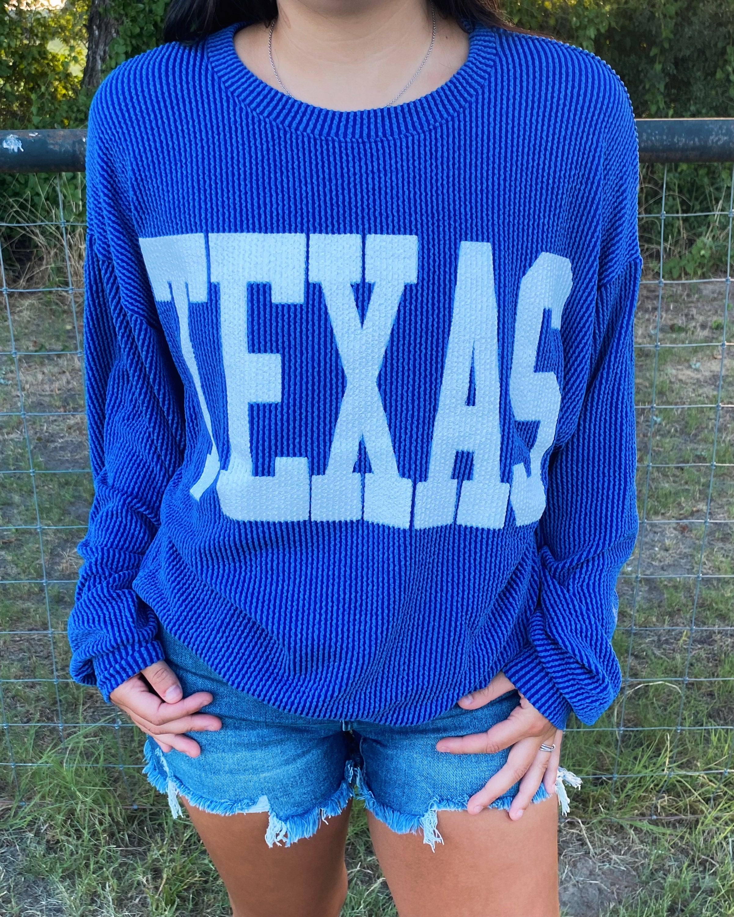 Blue Ribbed Texas Sweater image 1